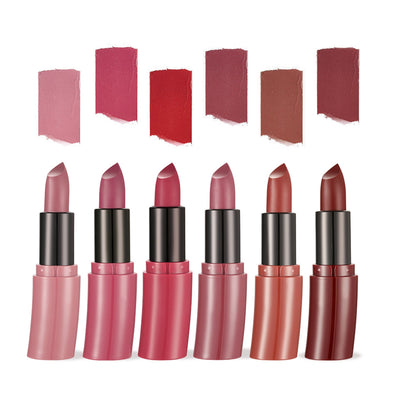 Lipstick Matte Lipstick Kit