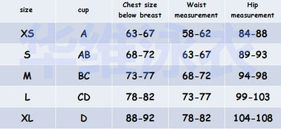 Pineapple Print Swimsuit Bikinis Suit